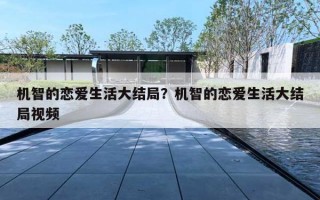 机智的恋爱生活大结局？机智的恋爱生活大结局视频