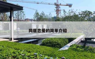 同居恋爱的简单介绍 同居恋爱的简单介绍