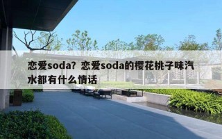 恋爱soda？恋爱soda的樱花桃子味汽水都有什么情话