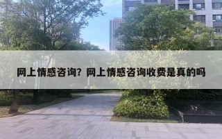 网上情感咨询？网上情感咨询收费是真的吗
