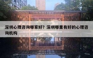 深圳心理咨询哪家好？深圳哪里有好的心理咨询机构
