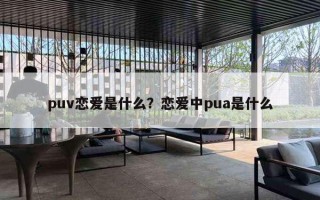 puv恋爱是什么？恋爱中pua是什么