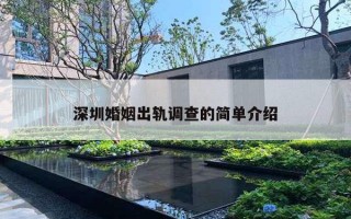 深圳婚姻出轨调查的简单介绍