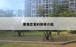 爱情恋爱的简单介绍 爱情恋爱的简单介绍