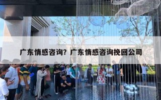 广东情感咨询？广东情感咨询挽回公司