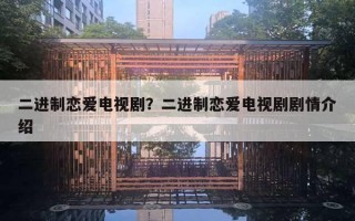 二进制恋爱电视剧？二进制恋爱电视剧剧情介绍