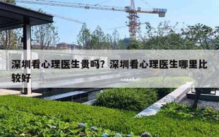 深圳看心理医生贵吗?深圳看心理医生哪里比较好 深圳看心理医生贵吗?深圳看心理医生哪里比较好