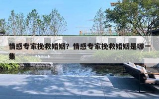 情感专家挽救婚姻?情感专家挽救婚姻是哪一集 情感专家挽救婚姻?情感专家挽救婚姻是哪一集