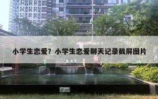小学生恋爱?小学生恋爱聊天记录截屏图片 小学生恋爱?小学生恋爱聊天记录截屏图片