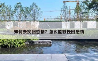 如何去挽回感情？怎么能够挽回感情