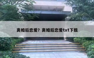 离婚后恋爱？离婚后恋爱txt下载