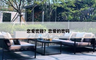 恋爱密籍？恋爱的密码
