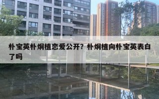 朴宝英朴炯植恋爱公开？朴炯植向朴宝英表白了吗