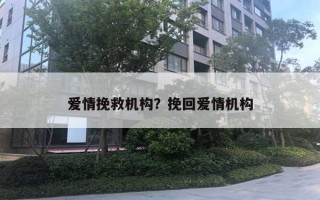 爱情挽救机构?挽回爱情机构 爱情挽救机构?挽回爱情机构