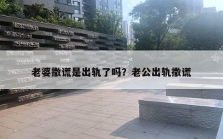 老婆撒谎是出轨了吗?老公出轨撒谎 老婆撒谎是出轨了吗?老公出轨撒谎