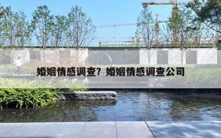 婚姻情感调查?婚姻情感调查公司 婚姻情感调查?婚姻情感调查公司