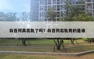 白百何真出轨了吗？白百何出轨男的是谁