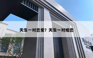 天生一对恋爱?天生一对婚恋 天生一对恋爱?天生一对婚恋