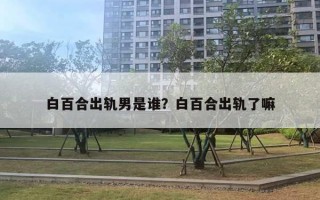 白百合出轨男是谁？白百合出轨了嘛