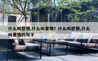 什么叫感情,什么叫爱情？什么叫感情,什么叫爱情的句子