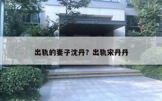 出轨的妻子沈丹?出轨宋丹丹 出轨的妻子沈丹?出轨宋丹丹