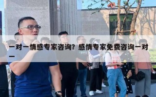 一对一情感专家咨询？感情专家免费咨询一对一