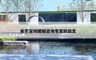 关于深圳婚姻咨询专家的信息