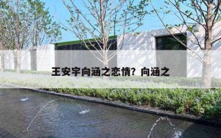 王安宇向涵之恋情?向涵之 王安宇向涵之恋情?向涵之