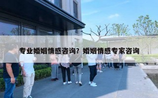 专业婚姻情感咨询？婚姻情感专家咨询