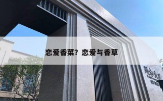 恋爱香菜？恋爱与香草