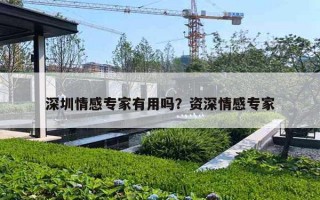 深圳情感专家有用吗？资深情感专家