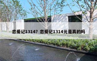 恋爱记1314？恋爱记1314元是真的吗