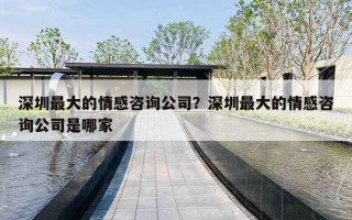 深圳最大的情感咨询公司？深圳最大的情感咨询公司是哪家