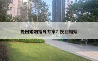 挽回婚姻指导专家？挽回婚姻