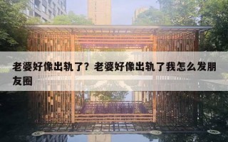老婆好像出轨了?老婆好像出轨了我怎么发朋友圈 老婆好像出轨了?老婆好像出轨了我怎么发朋友圈
