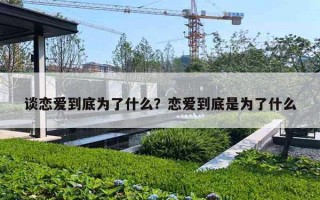 谈恋爱到底为了什么？恋爱到底是为了什么