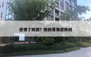 感情了挽回?挽回爱情感挽回 感情了挽回?挽回爱情感挽回