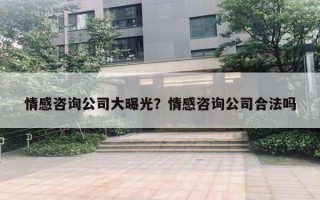 情感咨询公司大曝光？情感咨询公司合法吗