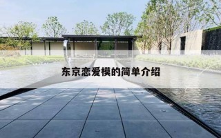 东京恋爱模的简单介绍