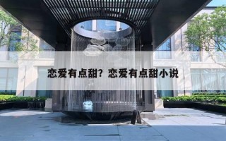 恋爱有点甜？恋爱有点甜小说