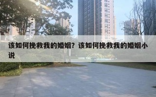 该如何挽救我的婚姻？该如何挽救我的婚姻小说