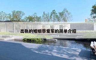 出轨的婚姻蔡爱军的简单介绍