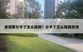 爱情要分手了怎么挽回?分手了怎么挽回感情 爱情要分手了怎么挽回?分手了怎么挽回感情