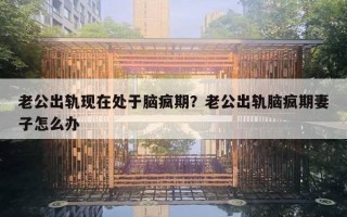 老公出轨现在处于脑疯期?老公出轨脑疯期妻子怎么办 老公出轨现在处于脑疯期?老公出轨脑疯期妻子怎么办
