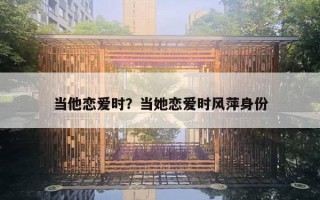 当他恋爱时？当她恋爱时风萍身份