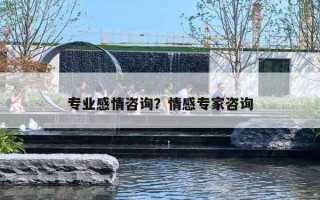 专业感情咨询？情感专家咨询