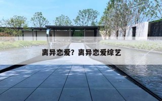 离异恋爱？离异恋爱综艺