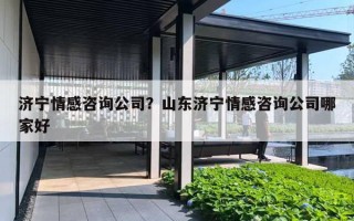 济宁情感咨询公司？山东济宁情感咨询公司哪家好