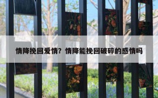 情降挽回爱情？情降能挽回破碎的感情吗