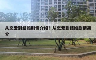 从恋爱到结婚剧情介绍？从恋爱到结婚剧情简介